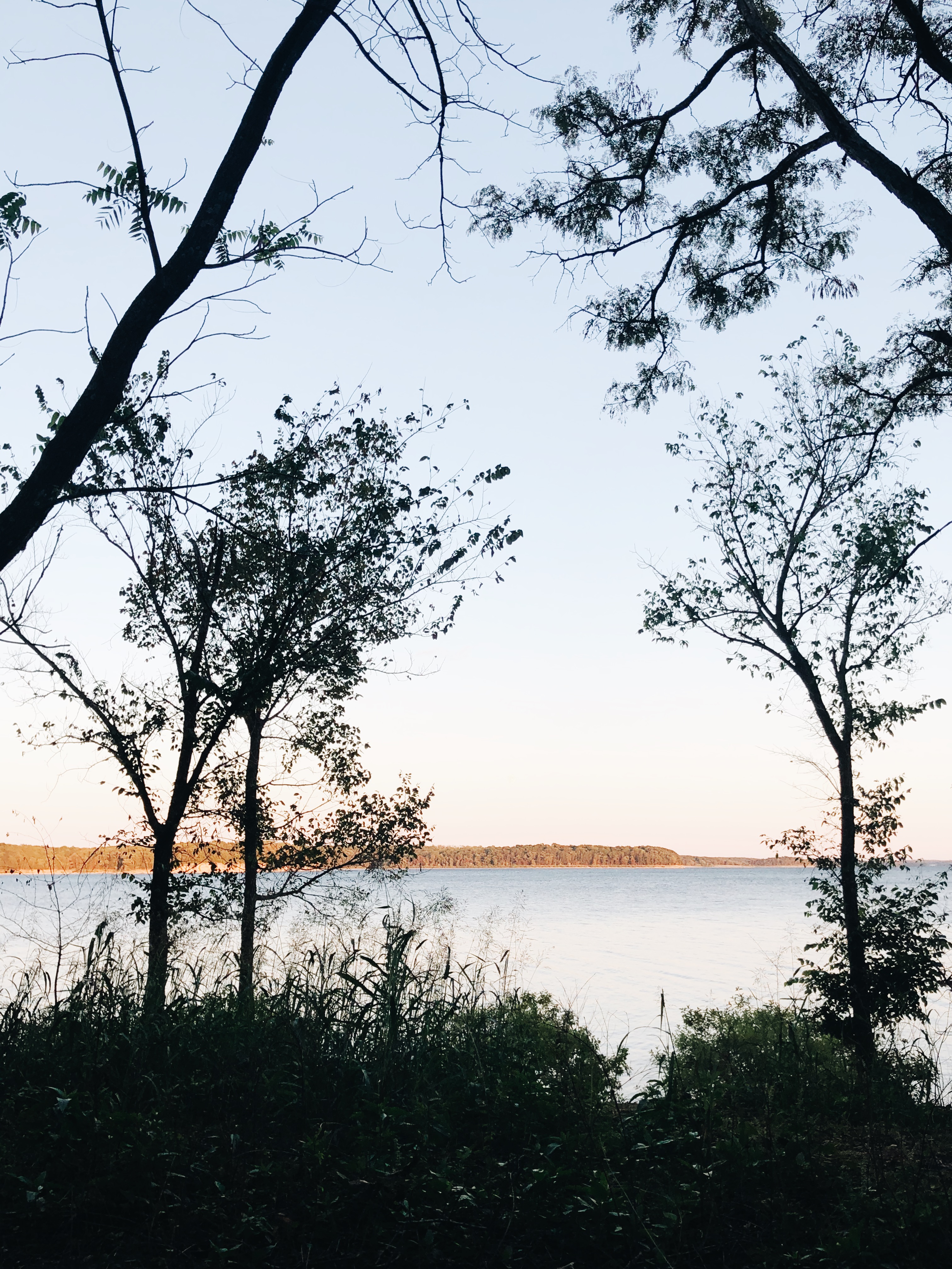 lake and trees