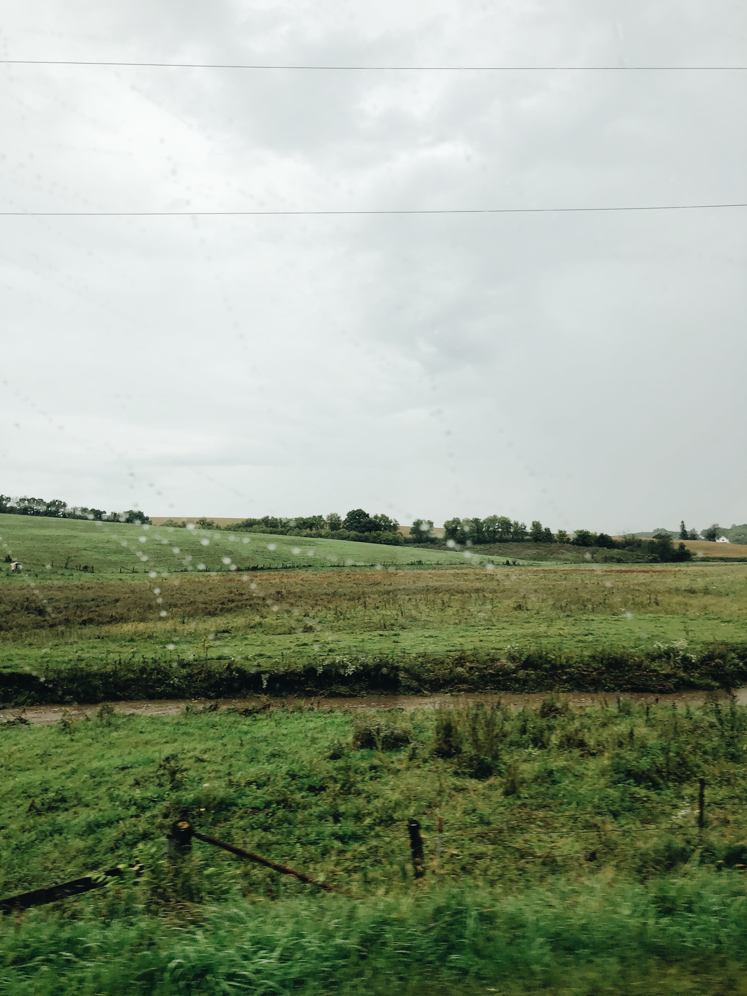 countryside in the rain