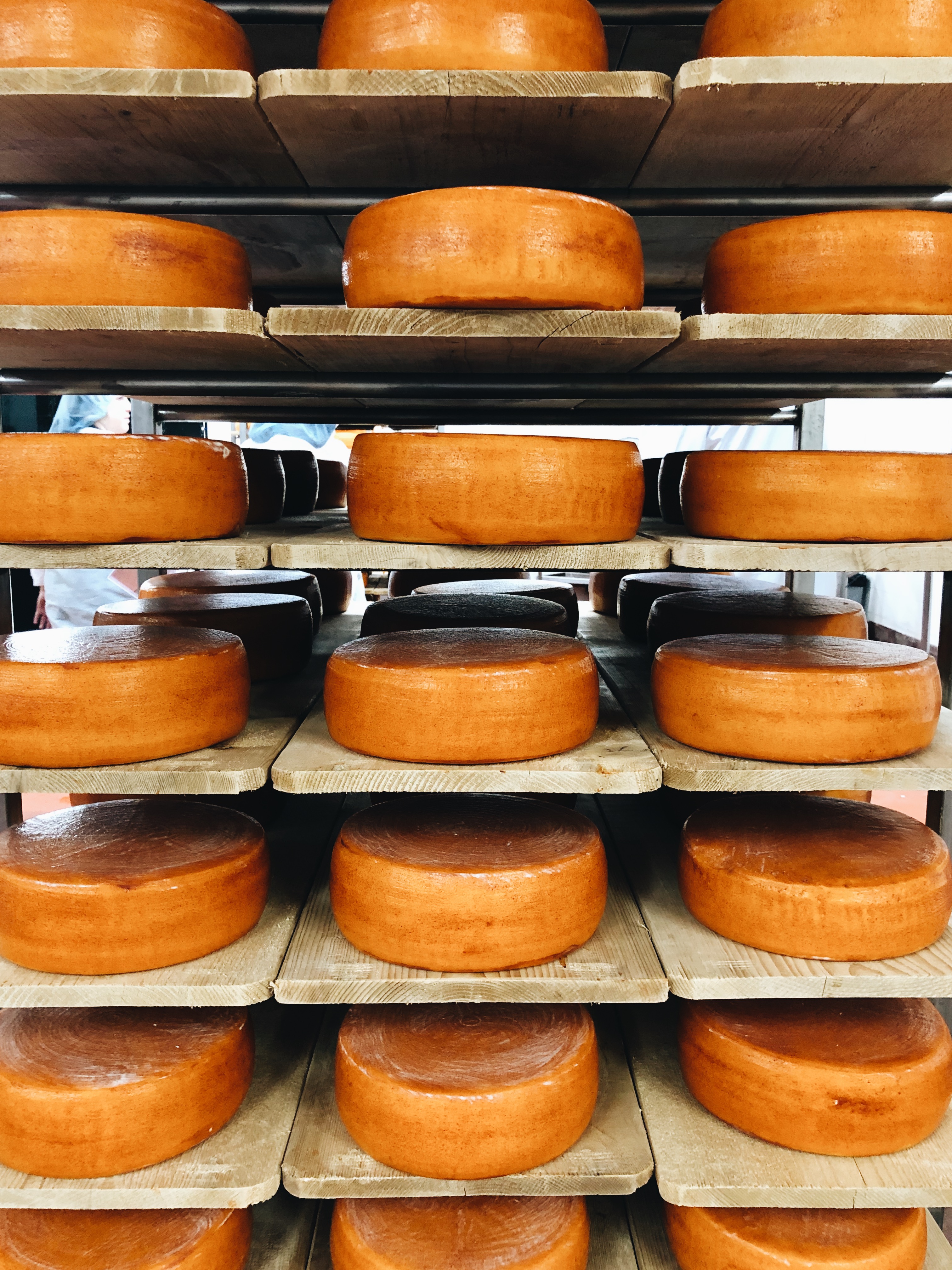 My Trip to Roth Cheese!