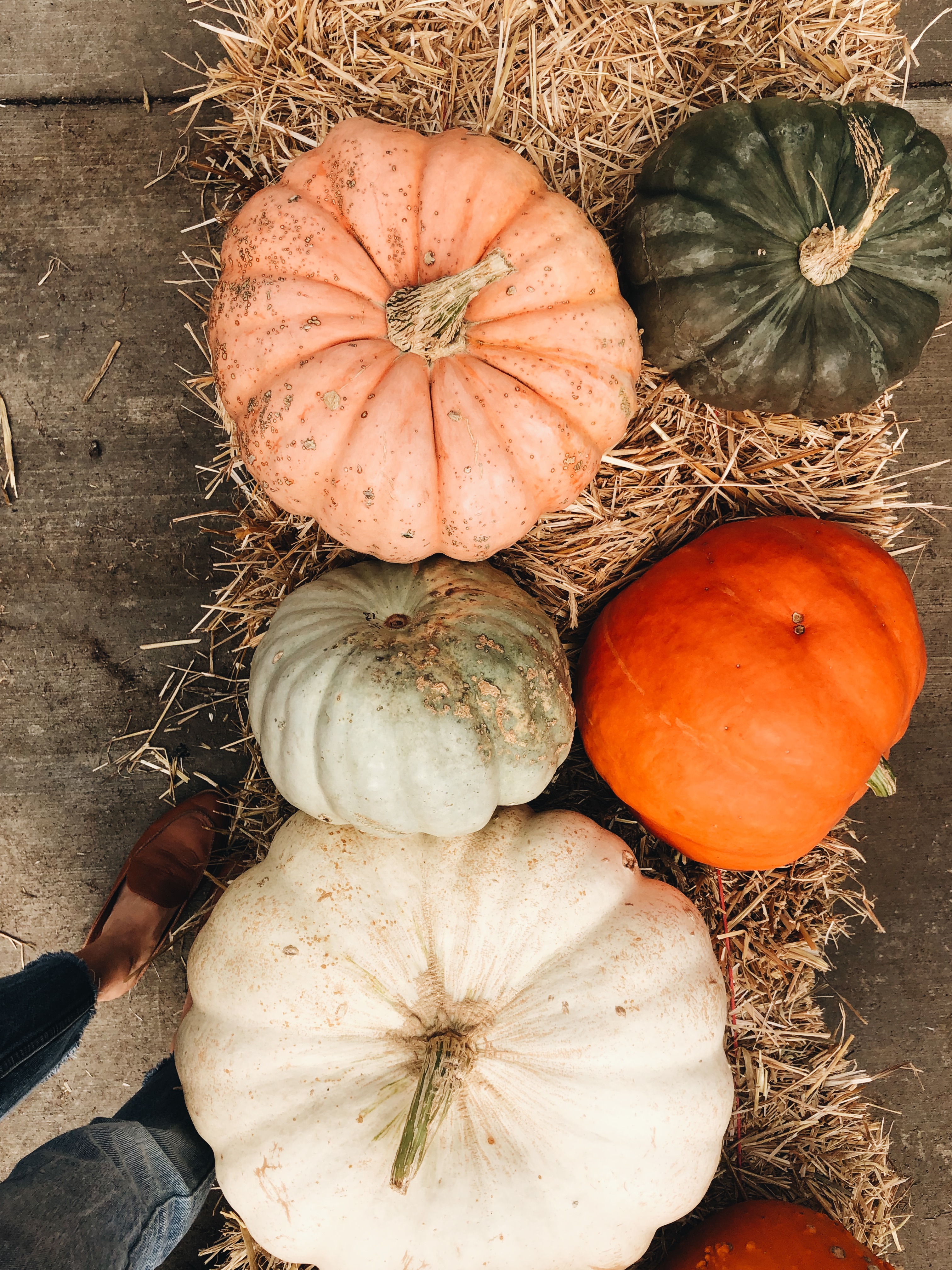 pumpkins