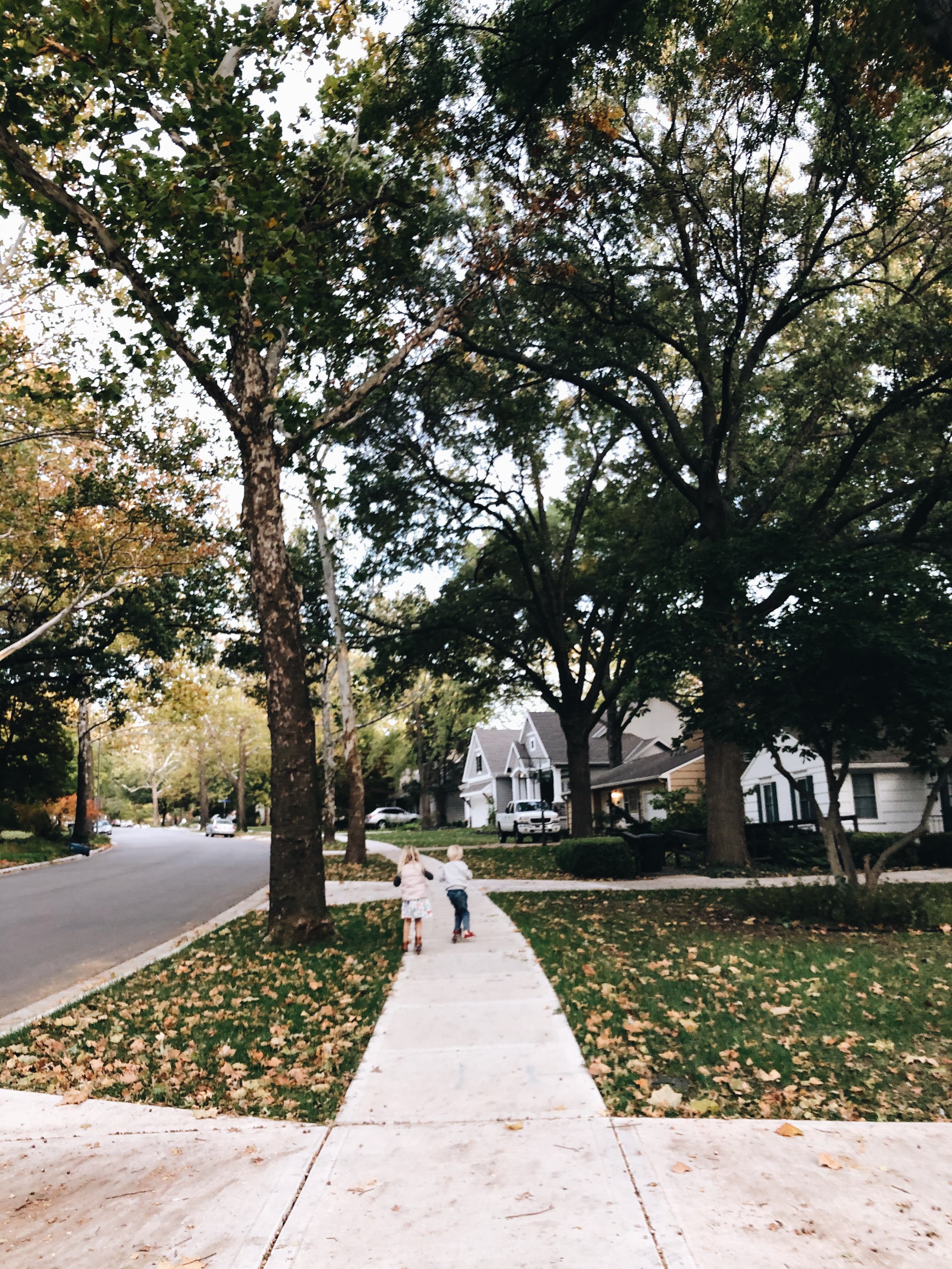 little scooters