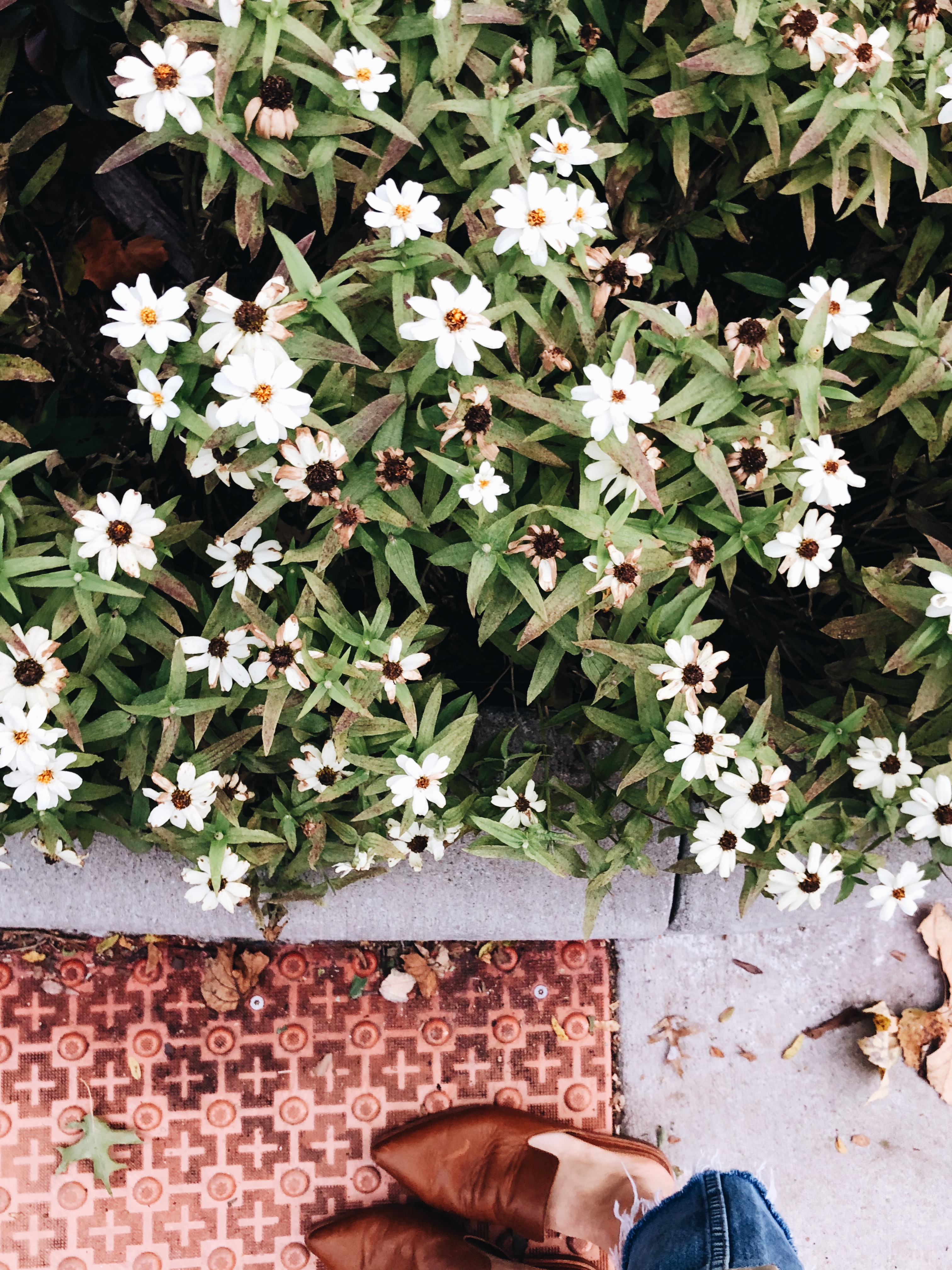 shoes and flowers