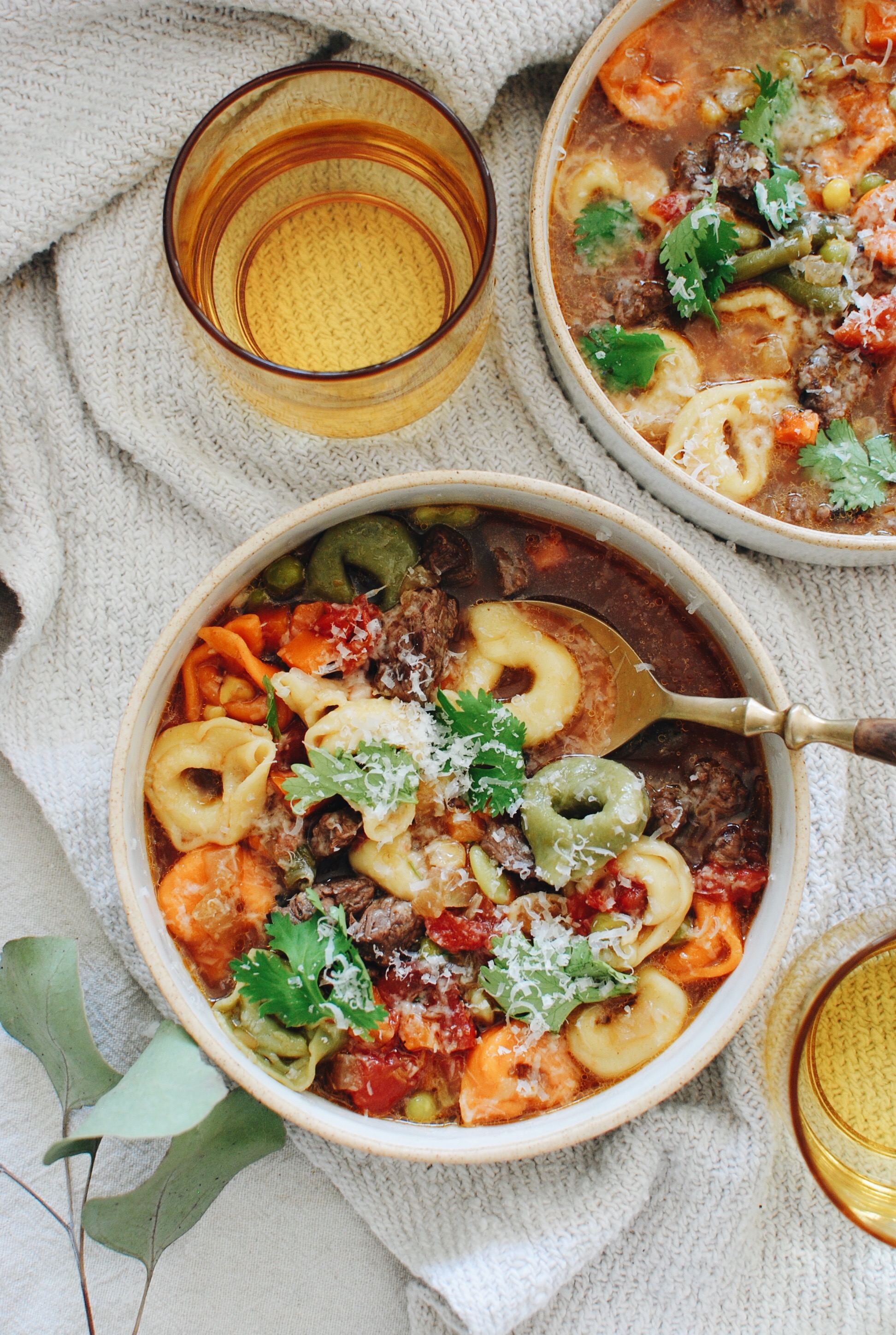 Tortellini Soup with Steak and Veggies / Bev Cooks