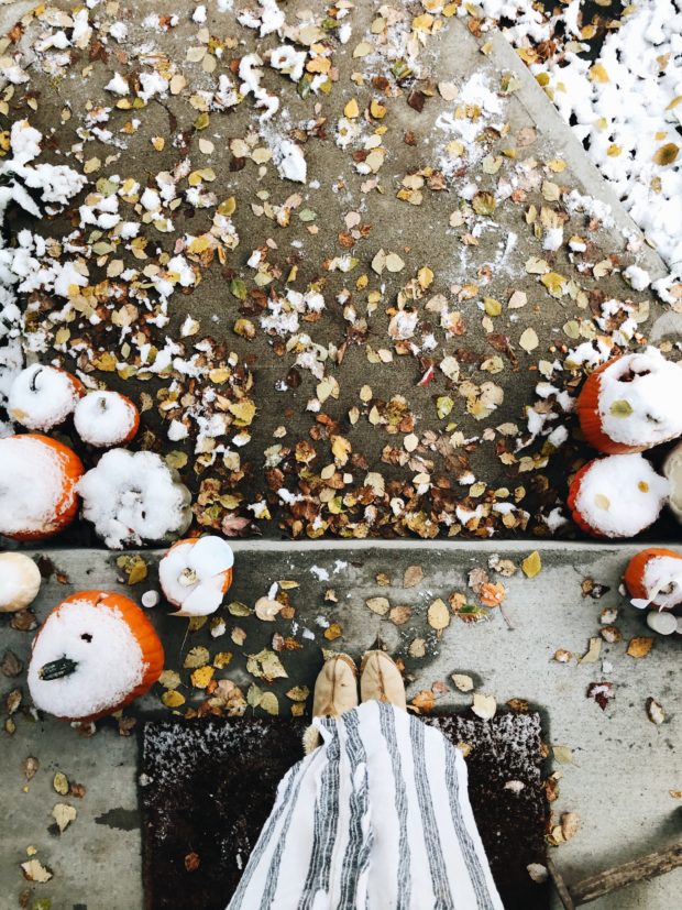 snowy pumpkins / bev cooks