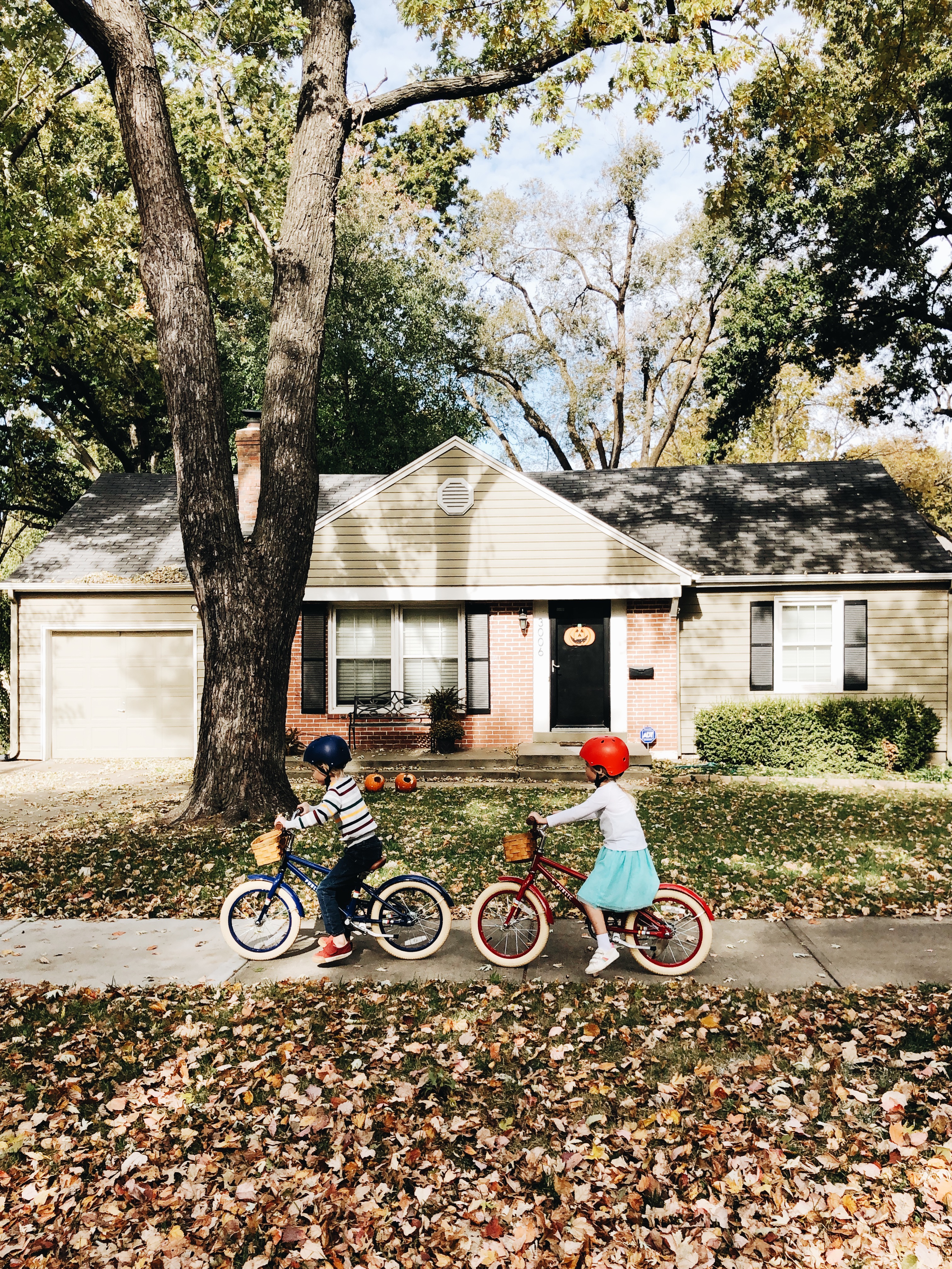 kids on bikes / bev cooks