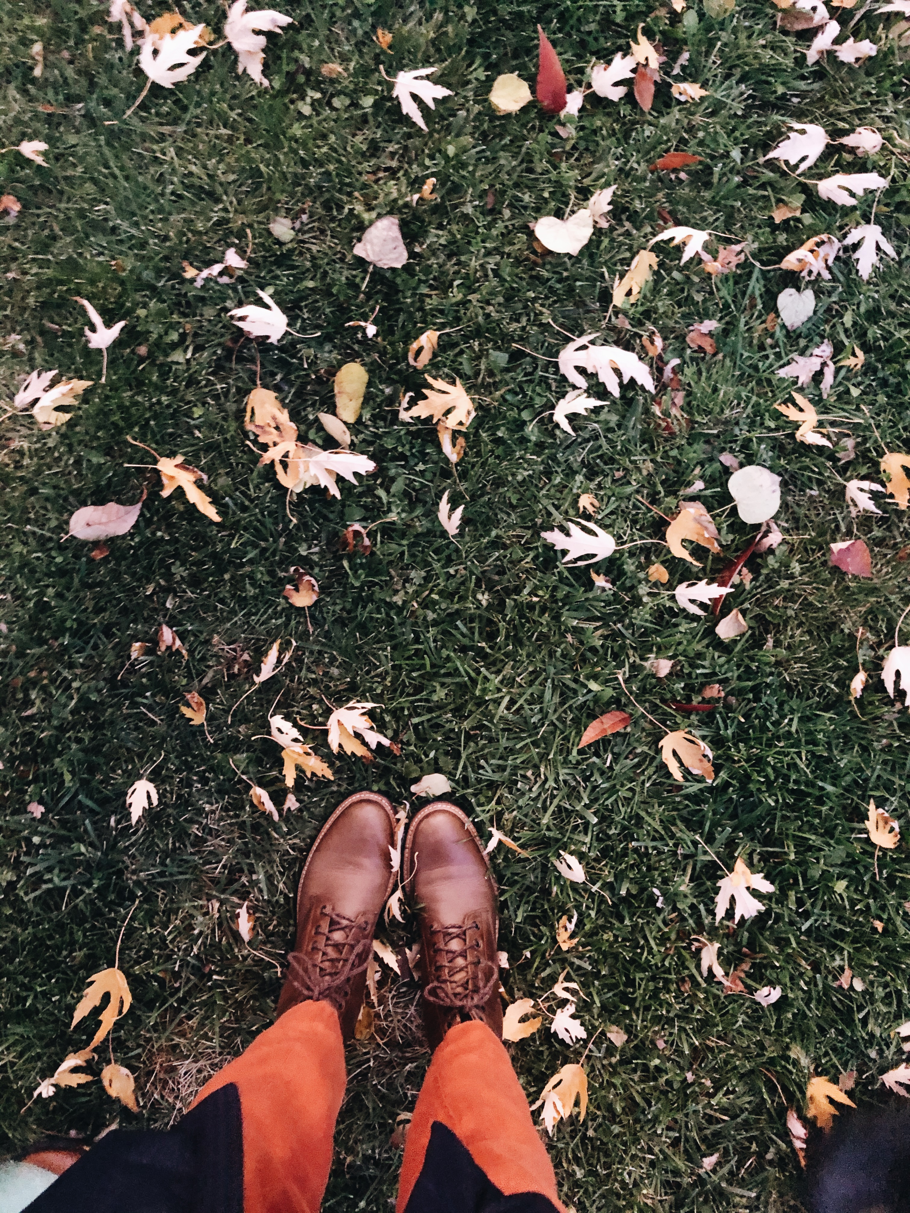 leaves and boots / bev cooks