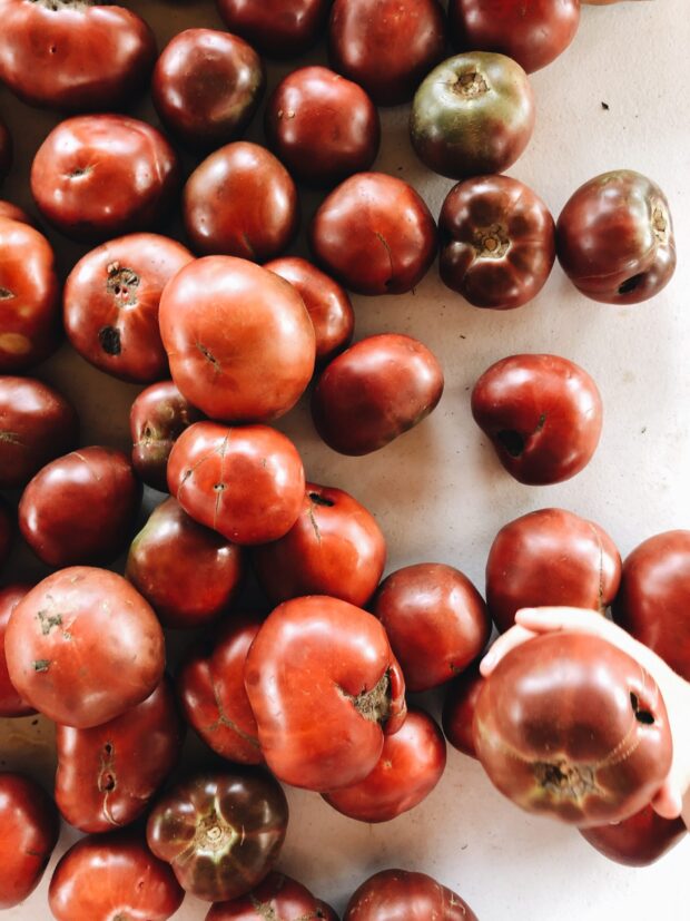 summer tomatoes / bev cooks