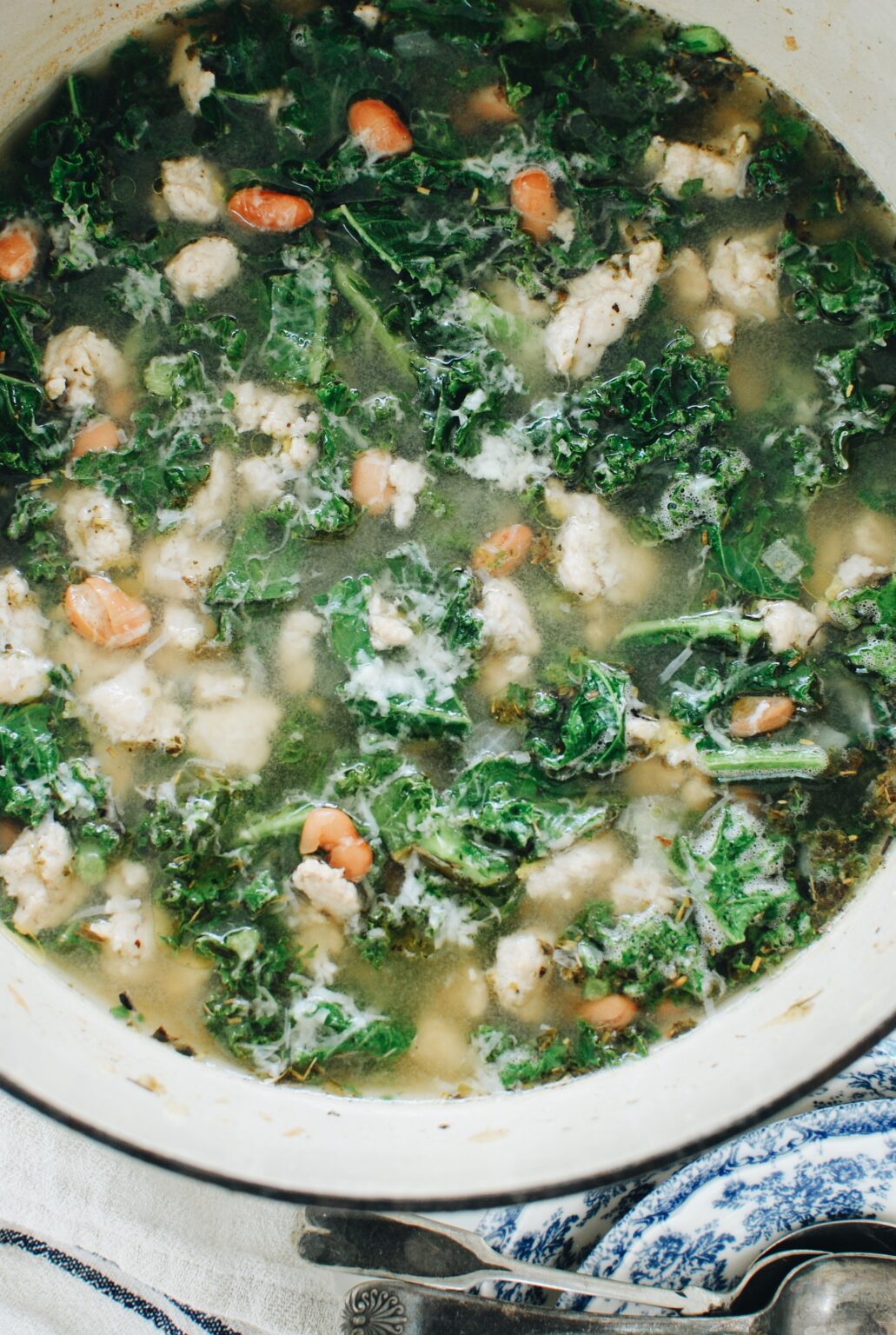 Chicken, Kale and Pinto Bean Soup - Bev Cooks