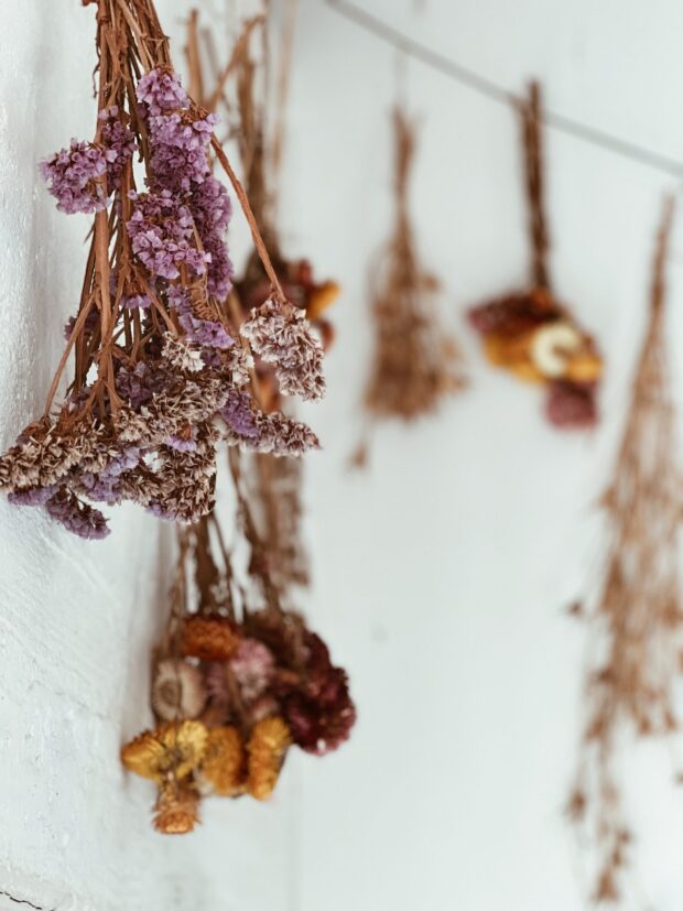 dried flowers / bev cooks