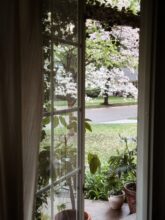 spring morning / bev cooks