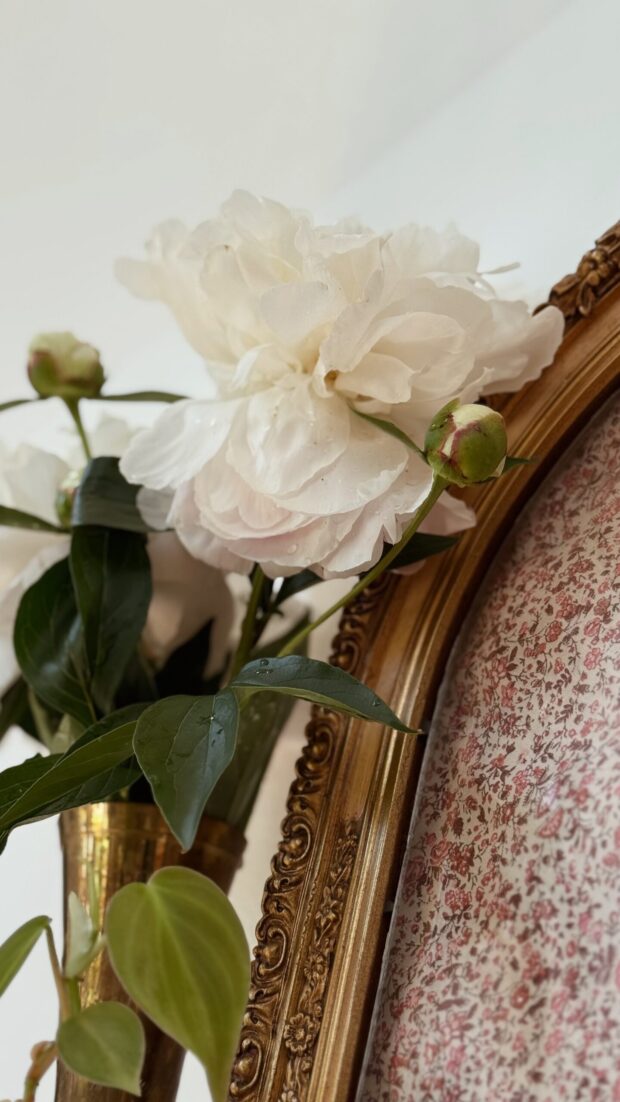 Friday Flotsam spring flowers / bev cooks