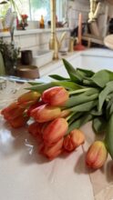 tulips / bev cooks